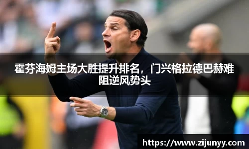 霍芬海姆主场大胜提升排名，门兴格拉德巴赫难阻逆风势头
